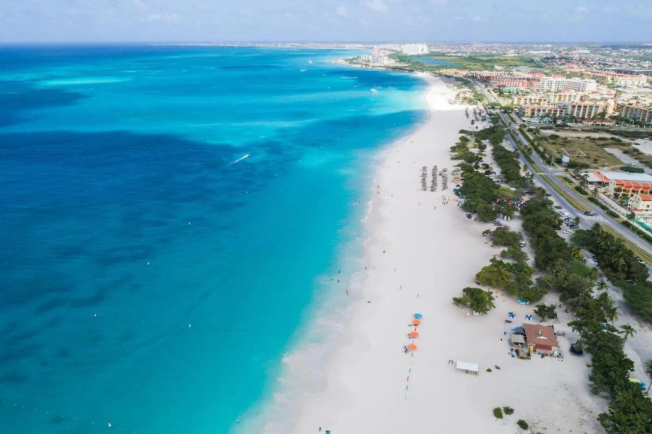Divi Village Condo 31 Παλμ Μπιτς Διαμέρισμα